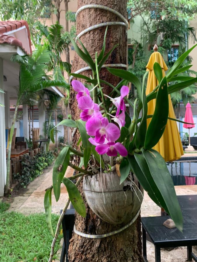 Angkor Magic Tree Boutique Hotel Siem Reap Buitenkant foto