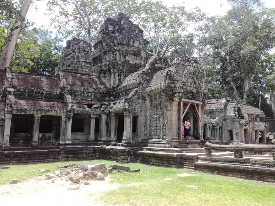 Angkor Magic Tree Boutique Hotel Siem Reap Buitenkant foto